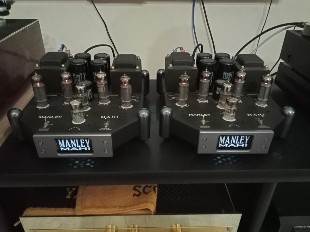 Manley Labs Manley Mahi Monoblock Tube Amps