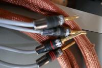 Arcam LS - Kabel, 2 x 2,0 m Bi-Wiring