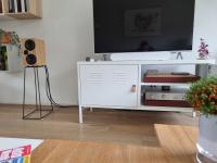 Ophidian Mojo 2 monitor speakers in oak as good as new