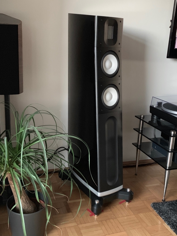 Used Raidho C2.1 Loudspeakers for Sale | HifiShark.com