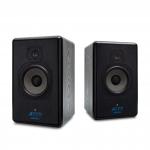 Acon 1022B 2-way Active Bi-Amp Monitor Speakers (1 pair) - used