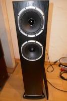 Fyne Audio F501 black oak / Paar