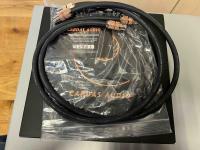 Pair Cardas Signal Cable Cardas Clear Reflection XLR Interconnect Length 1.00 mt