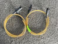 Analysis Plus Golden Oval High End XLR Kabel in 1m