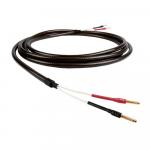 Epic 2 speaker cable, 2 x 3m long
