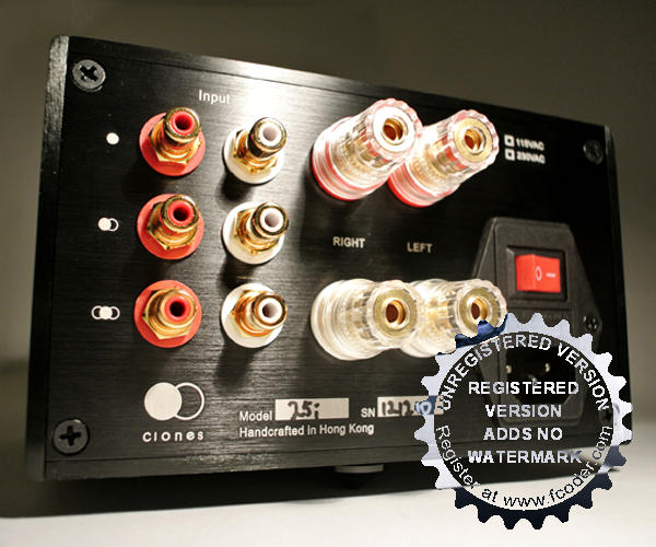 CLONES AUDIO Rückseite des Vollverstärkers 25i